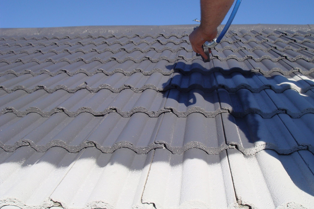 Roof painting